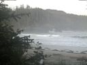 ./images/calvert/beach/20200529/beach20200529_052001.jpg