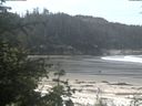 ./images/calvert/beach/20200529/beach20200529_105002.jpg