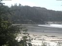 ./images/calvert/beach/20200529/beach20200529_105502.jpg