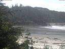 ./images/calvert/beach/20200529/beach20200529_110501.jpg