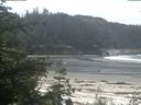 ./images/calvert/beach/20200529/beach20200529_111002.jpg