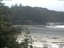 ./images/calvert/beach/20200529/beach20200529_113502.jpg
