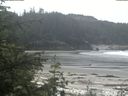 ./images/calvert/beach/20200529/beach20200529_115503.jpg