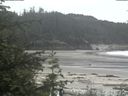 ./images/calvert/beach/20200529/beach20200529_124501.jpg