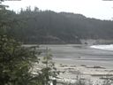 ./images/calvert/beach/20200529/beach20200529_130502.jpg