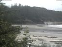 ./images/calvert/beach/20200529/beach20200529_135502.jpg