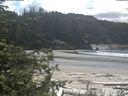 ./images/calvert/beach/20200531/beach20200531_132003.jpg