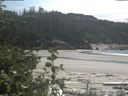 ./images/calvert/beach/20200531/beach20200531_141002.jpg