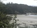 ./images/calvert/beach/20200531/beach20200531_145003.jpg