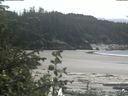 ./images/calvert/beach/20200531/beach20200531_145503.jpg