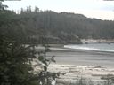 ./images/calvert/beach/20200601/beach20200601_135502.jpg