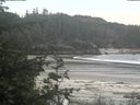 ./images/calvert/beach/20200601/beach20200601_140002.jpg