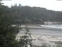 ./images/calvert/beach/20200601/beach20200601_143503.jpg