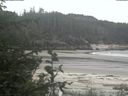 ./images/calvert/beach/20200601/beach20200601_154502.jpg