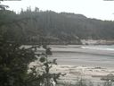 ./images/calvert/beach/20200601/beach20200601_160501.jpg