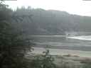 ./images/calvert/beach/20200602/beach20200602_051003.jpg