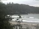 ./images/calvert/beach/20200603/beach20200603_120503.jpg