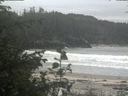./images/calvert/beach/20200603/beach20200603_124502.jpg