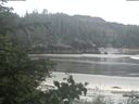 ./images/calvert/beach/20200605/beach20200605_081002.jpg
