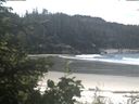./images/calvert/beach/20200606/beach20200606_111501.jpg