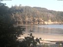 ./images/calvert/beach/20200606/beach20200606_200502.jpg
