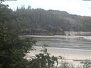 ./images/calvert/beach/20200607/beach20200607_101503.jpg