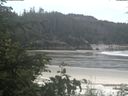 ./images/calvert/beach/20200607/beach20200607_110501.jpg