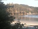 ./images/calvert/beach/20200607/beach20200607_205003.jpg