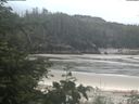 ./images/calvert/beach/20200608/beach20200608_100503.jpg
