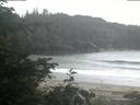 ./images/calvert/beach/20200610/beach20200610_051502.jpg