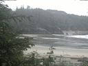 ./images/calvert/beach/20200610/beach20200610_102502.jpg