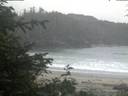 ./images/calvert/beach/20200611/beach20200611_052002.jpg