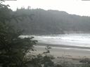 ./images/calvert/beach/20200611/beach20200611_081002.jpg