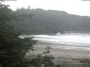 ./images/calvert/beach/20200611/beach20200611_081503.jpg