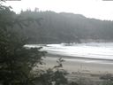./images/calvert/beach/20200611/beach20200611_082002.jpg