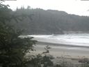./images/calvert/beach/20200611/beach20200611_082502.jpg