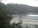 ./images/calvert/beach/20200611/beach20200611_111502.jpg