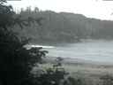 ./images/calvert/beach/20200612/beach20200612_044503.jpg