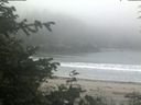 ./images/calvert/beach/20200612/beach20200612_064002.jpg