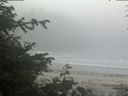 ./images/calvert/beach/20200612/beach20200612_074002.jpg