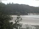 ./images/calvert/beach/20200614/beach20200614_133503.jpg