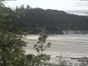 ./images/calvert/beach/20200614/beach20200614_141503.jpg