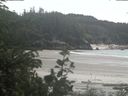 ./images/calvert/beach/20200614/beach20200614_143503.jpg