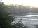 ./images/calvert/beach/20200617/beach20200617_054001.jpg