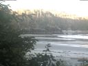 ./images/calvert/beach/20200617/beach20200617_054502.jpg