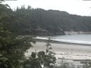 ./images/calvert/beach/20200617/beach20200617_144501.jpg