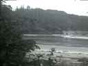 ./images/calvert/beach/20200618/beach20200618_050501.jpg