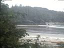 ./images/calvert/beach/20200618/beach20200618_052502.jpg