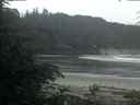 ./images/calvert/beach/20200619/beach20200619_045503.jpg