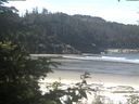 ./images/calvert/beach/20200621/beach20200621_105002.jpg